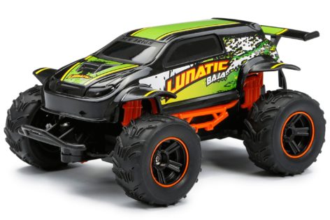 1:24 Scale R/C Motor Sport Lunatic