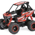 Polaris Pro Mini RZR